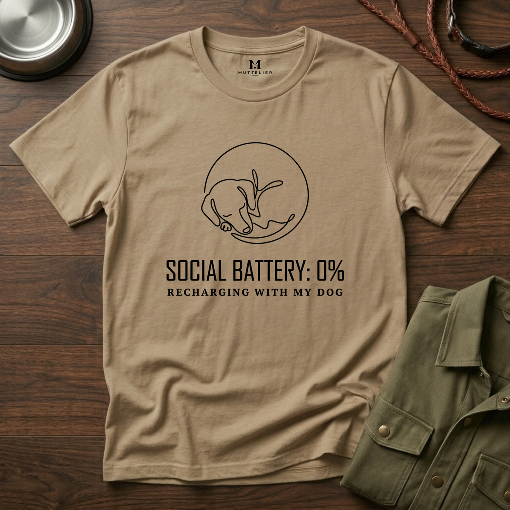 Social Battery 0% T-Shirt
